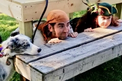 2 dogs and a Cat