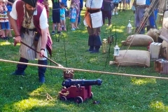 Cannon